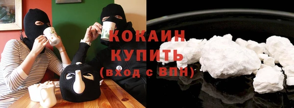 молекула духа Арсеньев