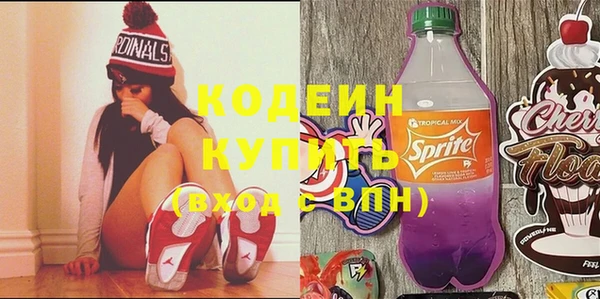 молекула духа Арсеньев