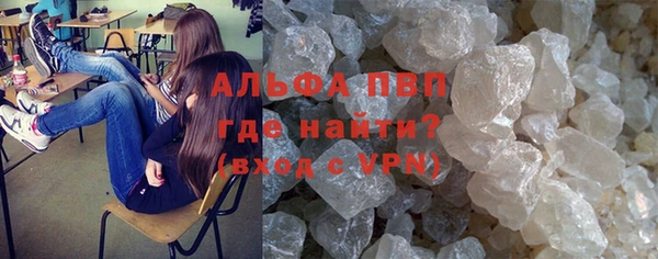 молекула духа Арсеньев