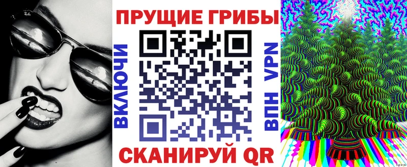 Псилоцибиновые грибы мицелий  где продают наркотики  гидра маркетплейс  Певек 