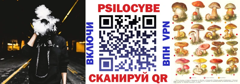 Галлюциногенные грибы Psilocybine cubensis Певек